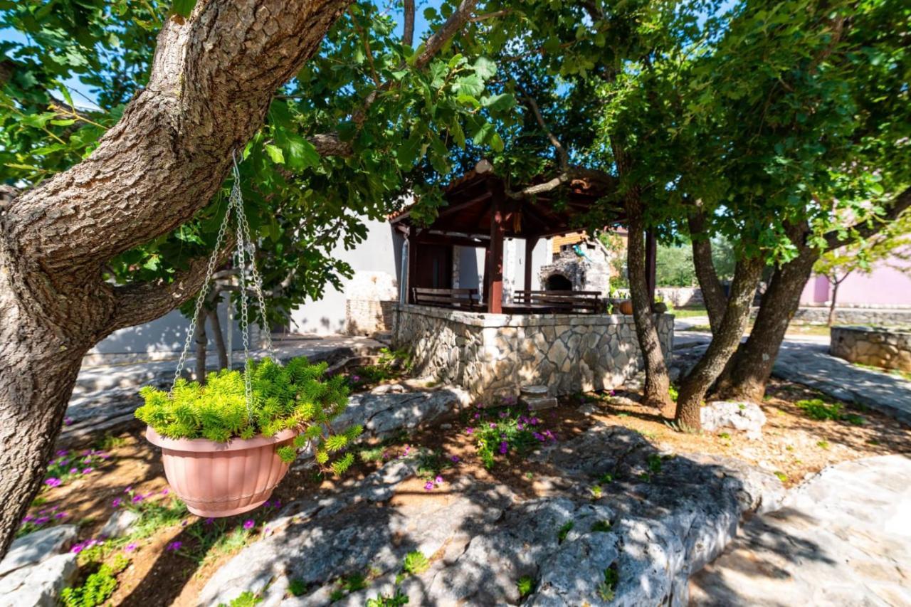 Villa Eagle Benkovac Exterior foto