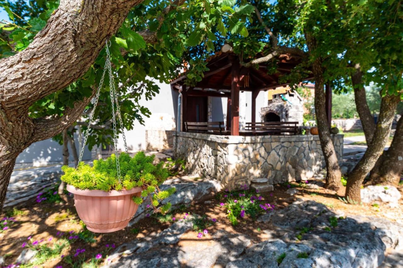 Villa Eagle Benkovac Exterior foto